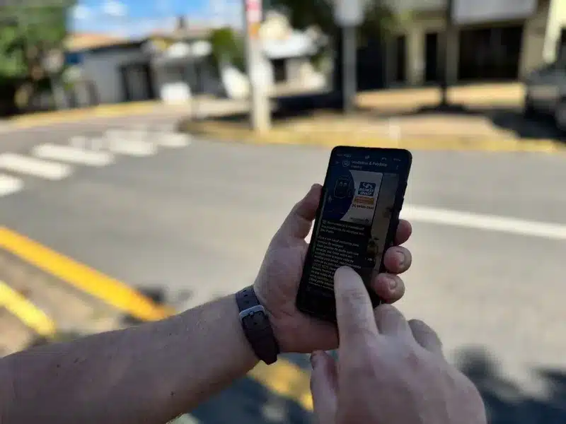 Transporte público incorpora